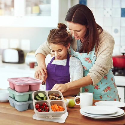 4er-Pack Bento-Meal-Prep-Boxen – Nachhaltige und praktische Aufbewahrungsboxen für Mahlzeiten und Snacks