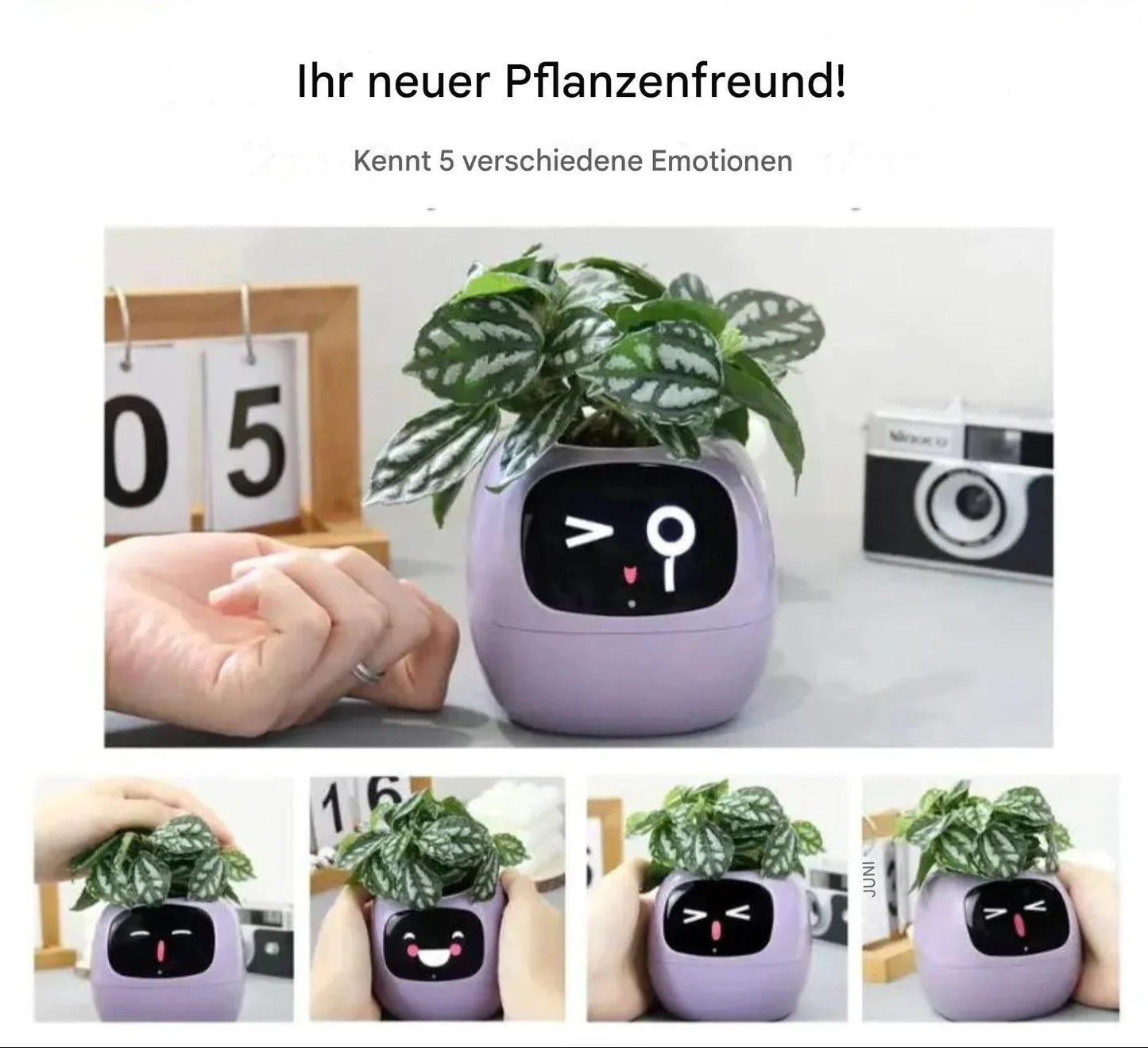 Automatischer Pflanzentopf mit Bewässerungssystem und LED-Beleuchtung