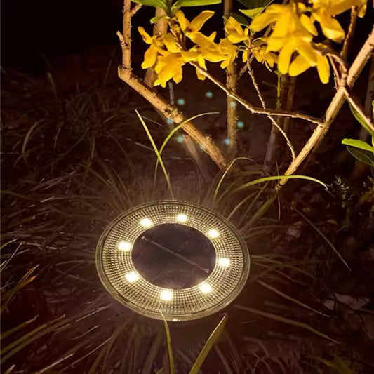 Garten Solar Lampe für Gehwege und Beete