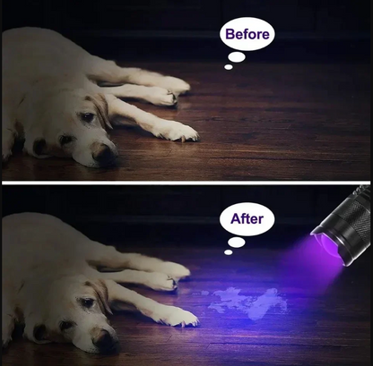 UV-LED-Taschenlampe – Ultraviolette Leuchte zur Flecken- und Urin-Erkennung für Haustiere