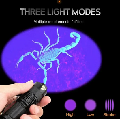 UV-LED-Taschenlampe – Ultraviolette Leuchte zur Flecken- und Urin-Erkennung für Haustiere