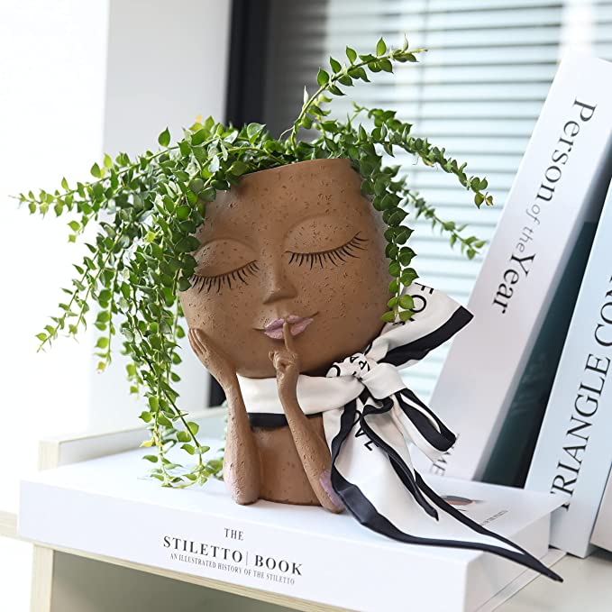 Kreativer Deko-Blumentopf mit Gesicht für Zimmerpflanzen und Sukkulenten – Ideal für Dekoration und Pflanzenpflege